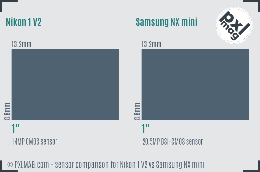 Nikon 1 V2 vs Samsung NX mini sensor size comparison