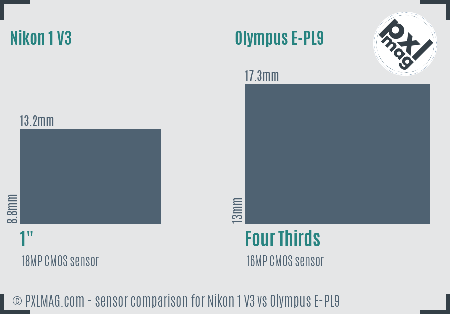 Nikon 1 V3 vs Olympus E-PL9 sensor size comparison