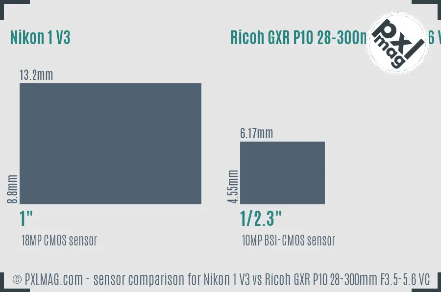 Nikon 1 V3 vs Ricoh GXR P10 28-300mm F3.5-5.6 VC sensor size comparison