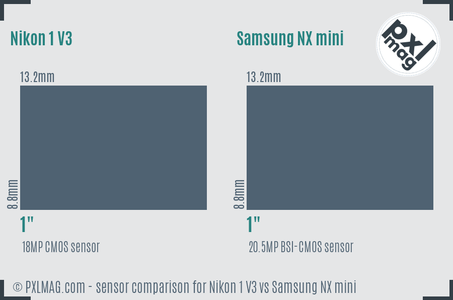 Nikon 1 V3 vs Samsung NX mini sensor size comparison