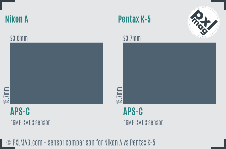Nikon A vs Pentax K-5 sensor size comparison