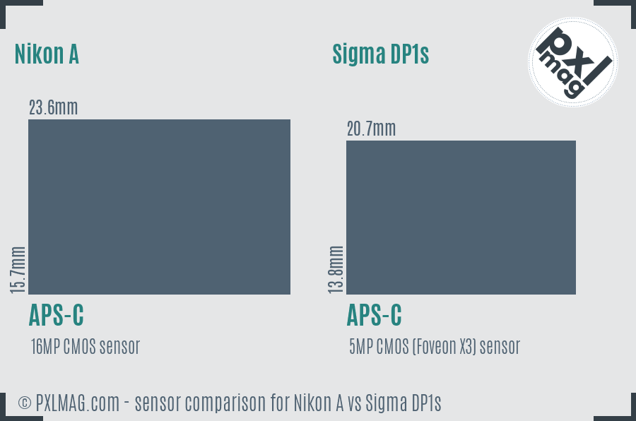 Nikon A vs Sigma DP1s sensor size comparison