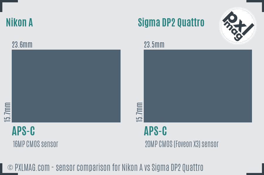 Nikon A vs Sigma DP2 Quattro sensor size comparison