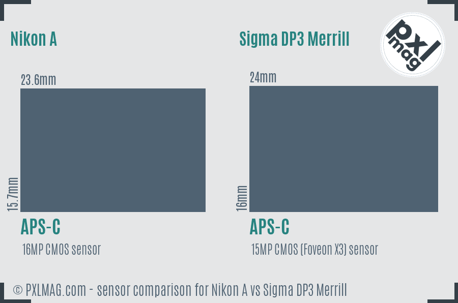 Nikon A vs Sigma DP3 Merrill sensor size comparison