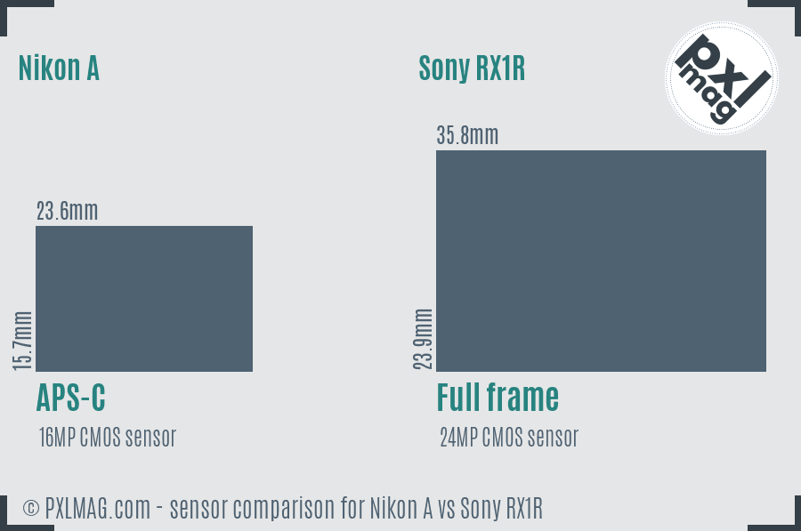 Nikon A vs Sony RX1R sensor size comparison