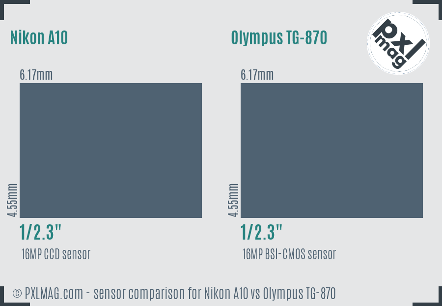 Nikon A10 vs Olympus TG-870 sensor size comparison