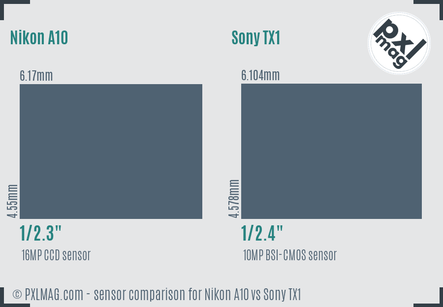 Nikon A10 vs Sony TX1 sensor size comparison