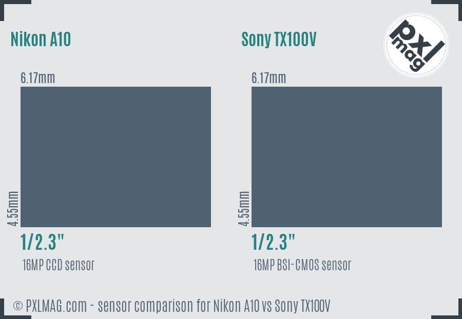 Nikon A10 vs Sony TX100V sensor size comparison