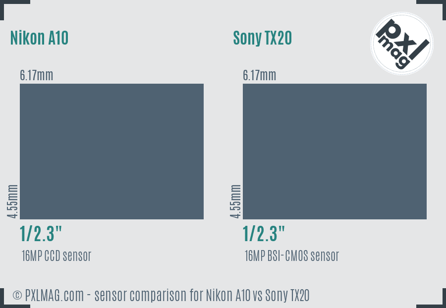 Nikon A10 vs Sony TX20 sensor size comparison