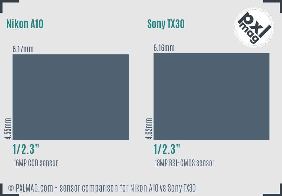 Nikon A10 vs Sony TX30 sensor size comparison