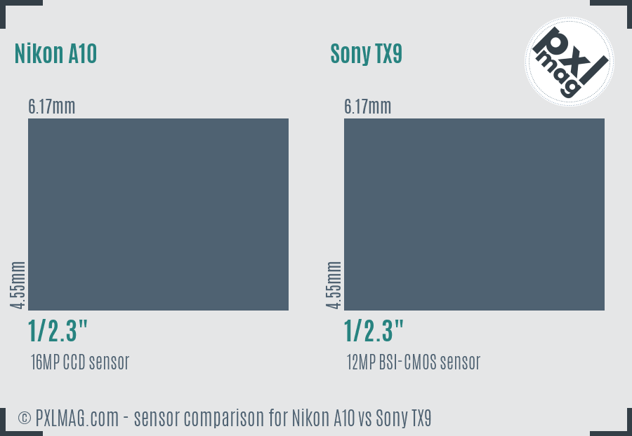 Nikon A10 vs Sony TX9 sensor size comparison