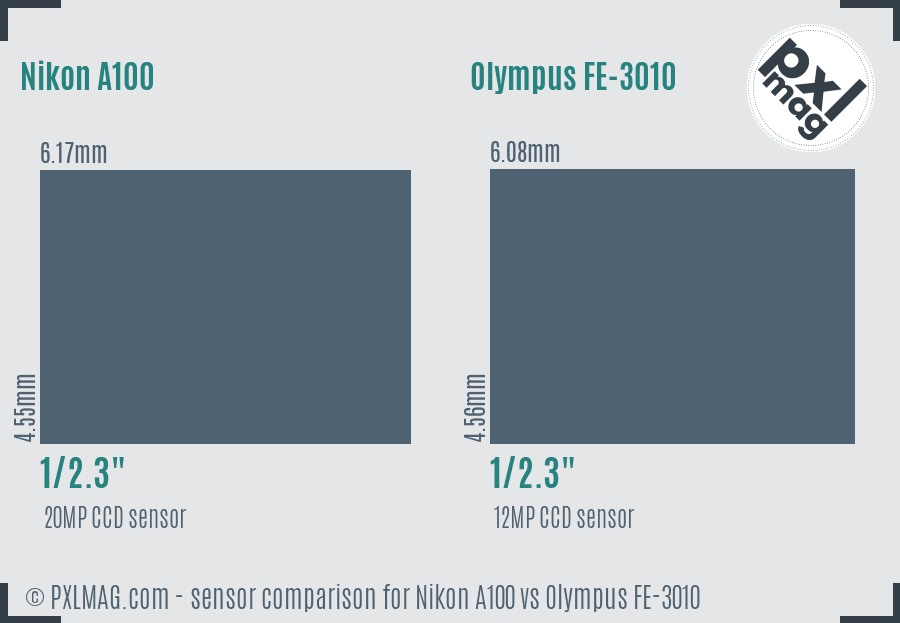 Nikon A100 vs Olympus FE-3010 sensor size comparison
