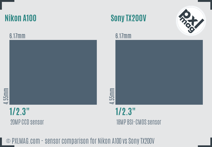 Nikon A100 vs Sony TX200V sensor size comparison