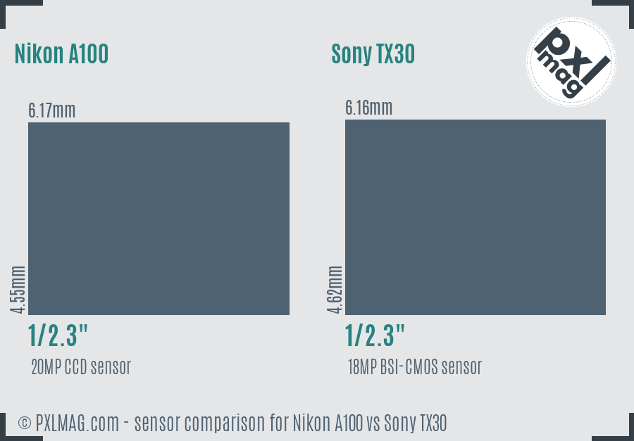 Nikon A100 vs Sony TX30 sensor size comparison