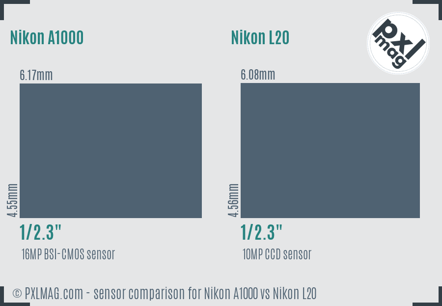 Nikon A1000 vs Nikon L20 sensor size comparison