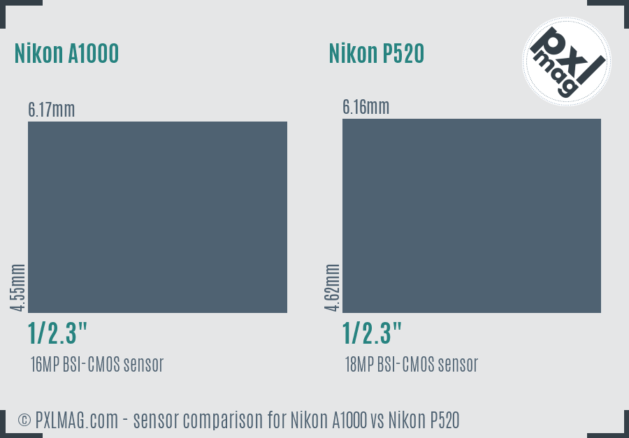 Nikon A1000 vs Nikon P520 sensor size comparison