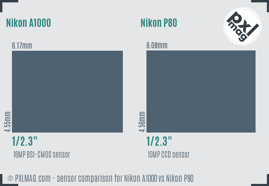 Nikon A1000 vs Nikon P80 sensor size comparison