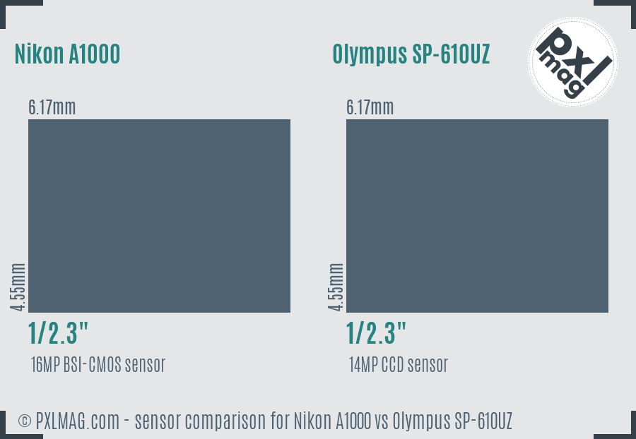 Nikon A1000 vs Olympus SP-610UZ sensor size comparison