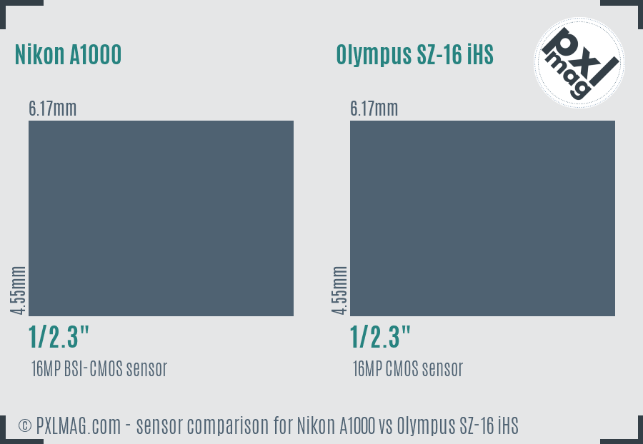 Nikon A1000 vs Olympus SZ-16 iHS sensor size comparison