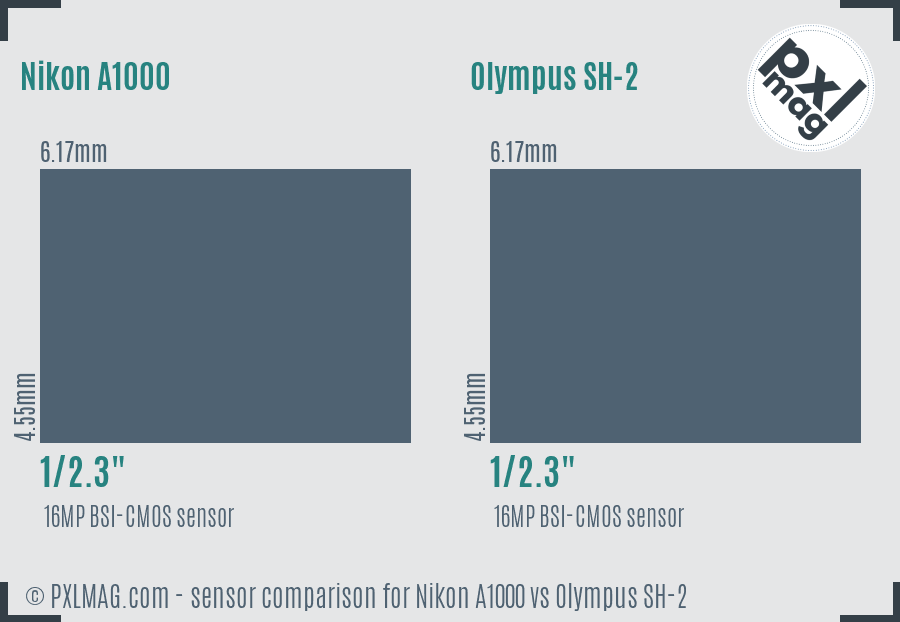 Nikon A1000 vs Olympus SH-2 sensor size comparison