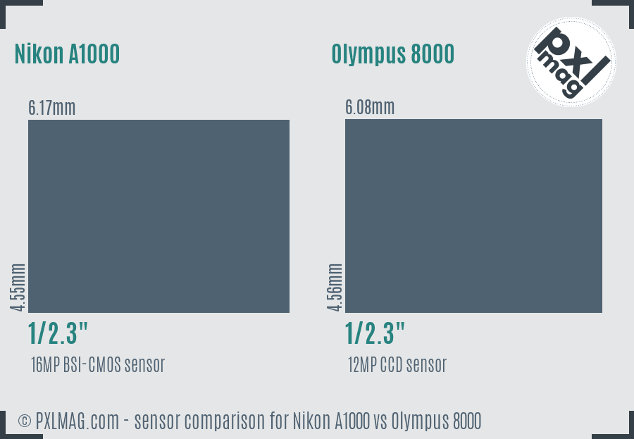 Nikon A1000 vs Olympus 8000 sensor size comparison
