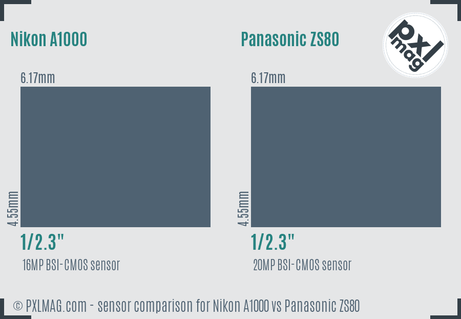 Nikon A1000 vs Panasonic ZS80 sensor size comparison