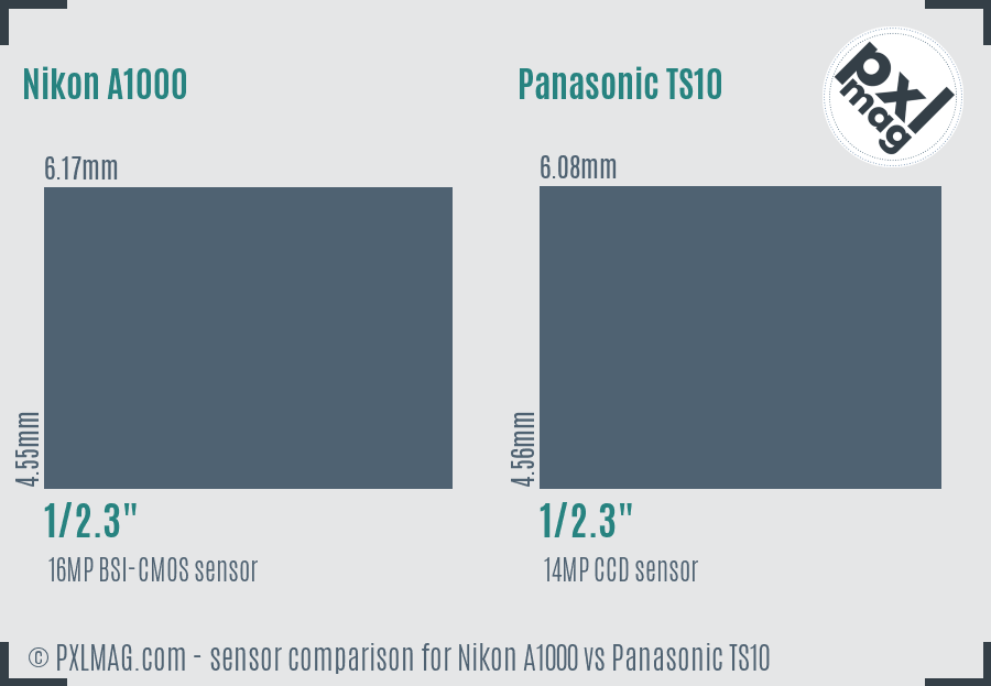 Nikon A1000 vs Panasonic TS10 sensor size comparison