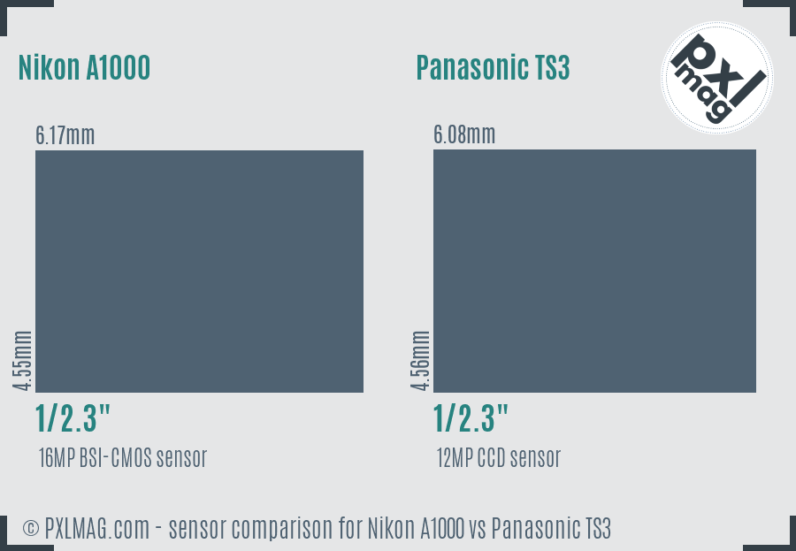 Nikon A1000 vs Panasonic TS3 sensor size comparison