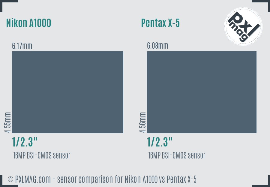 Nikon A1000 vs Pentax X-5 sensor size comparison