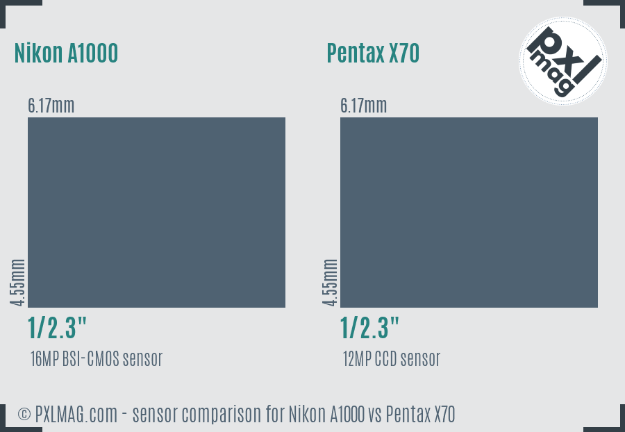 Nikon A1000 vs Pentax X70 sensor size comparison