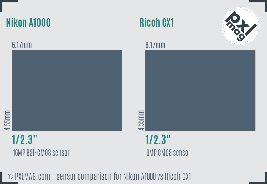 Nikon A1000 vs Ricoh CX1 sensor size comparison