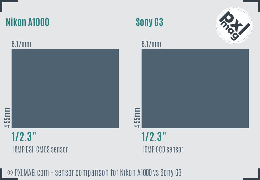 Nikon A1000 vs Sony G3 sensor size comparison