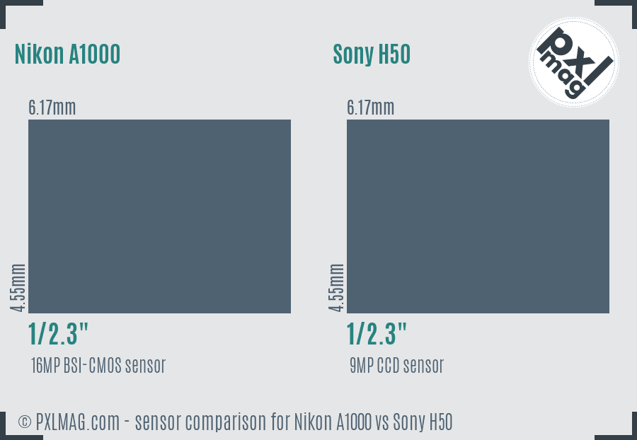 Nikon A1000 vs Sony H50 sensor size comparison