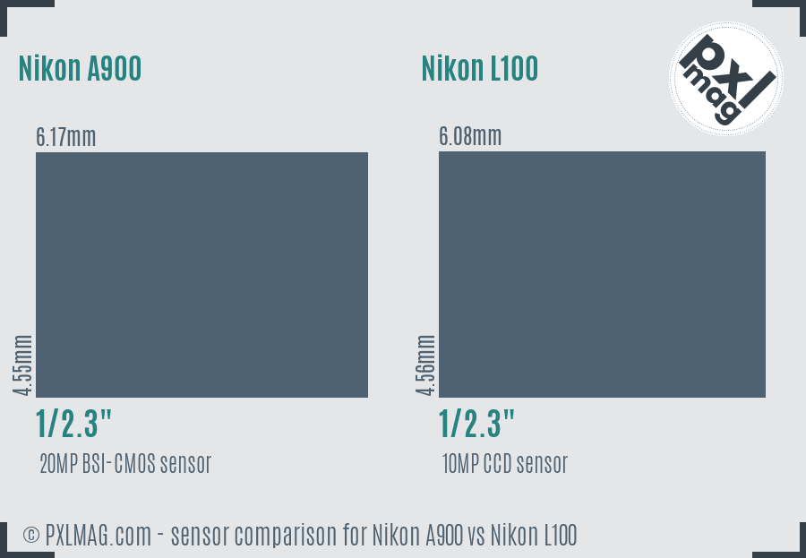 Nikon A900 vs Nikon L100 sensor size comparison