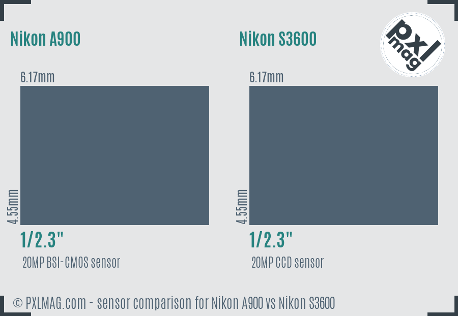 Nikon A900 vs Nikon S3600 sensor size comparison