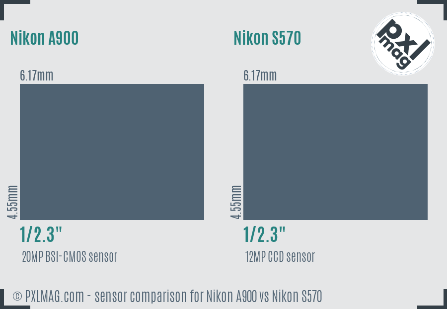 Nikon A900 vs Nikon S570 sensor size comparison