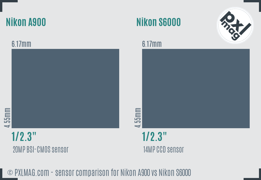 Nikon A900 vs Nikon S6000 sensor size comparison