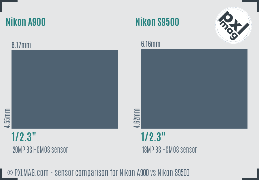 Nikon A900 vs Nikon S9500 sensor size comparison
