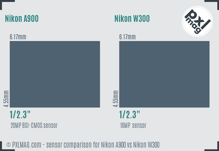 Nikon A900 vs Nikon W300 sensor size comparison