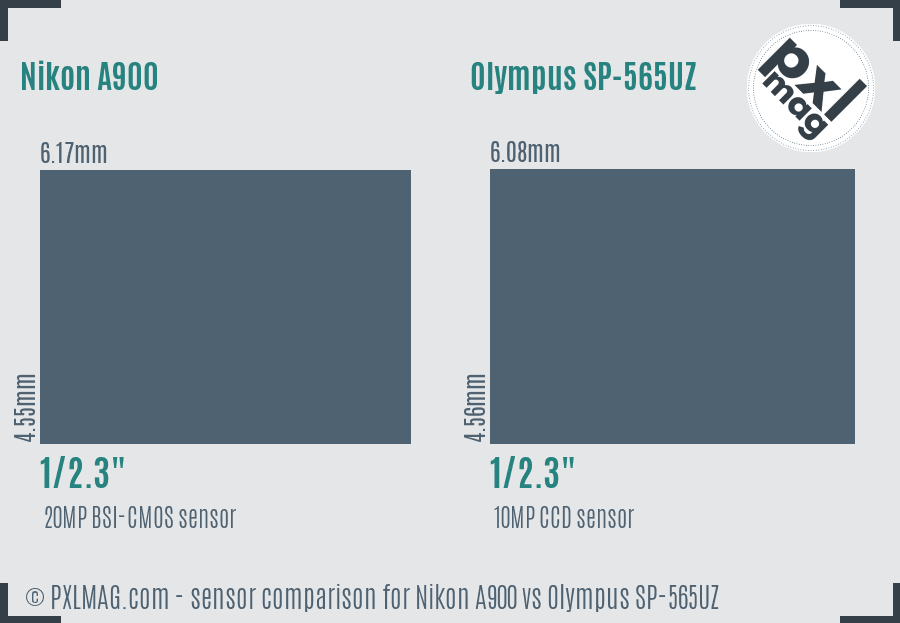 Nikon A900 vs Olympus SP-565UZ sensor size comparison