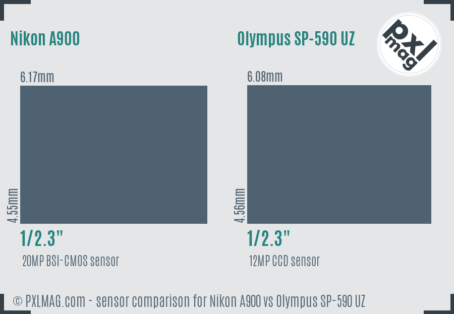 Nikon A900 vs Olympus SP-590 UZ sensor size comparison