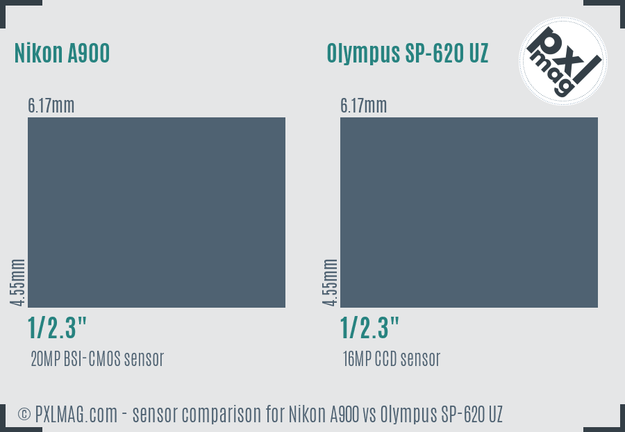 Nikon A900 vs Olympus SP-620 UZ sensor size comparison