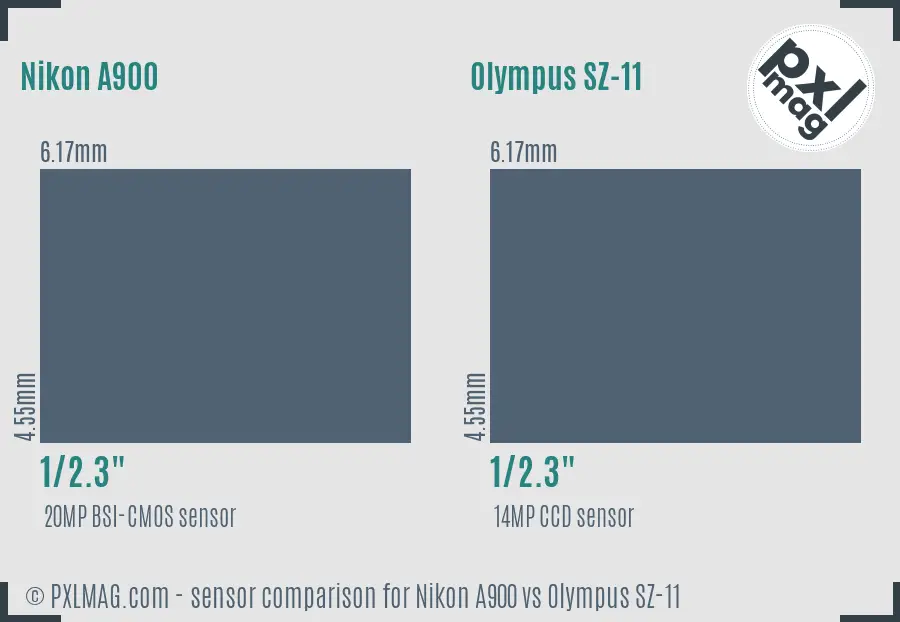 Nikon A900 vs Olympus SZ-11 sensor size comparison