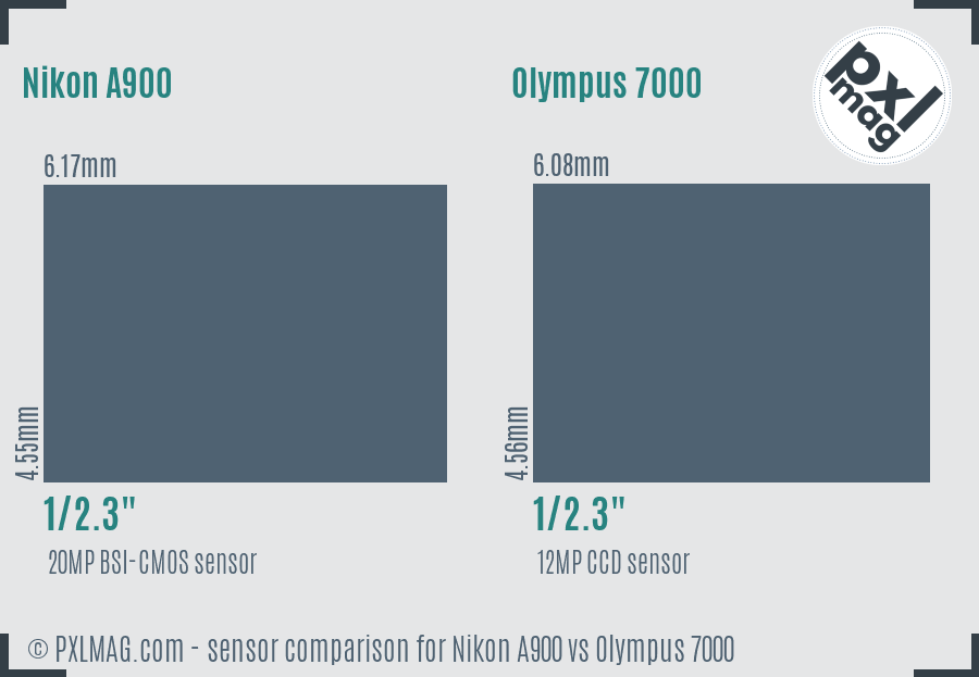 Nikon A900 vs Olympus 7000 sensor size comparison