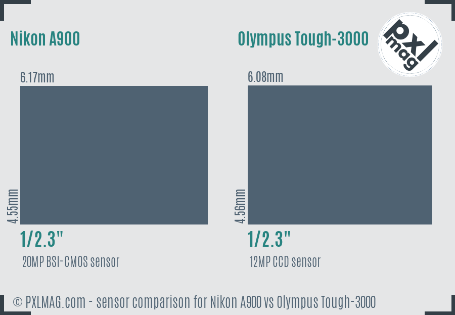 Nikon A900 vs Olympus Tough-3000 sensor size comparison