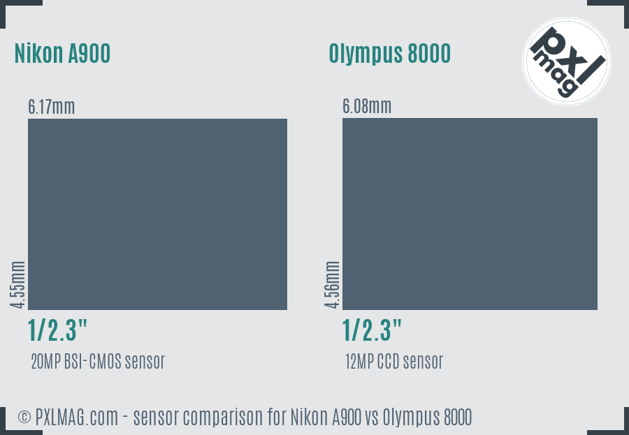 Nikon A900 vs Olympus 8000 sensor size comparison