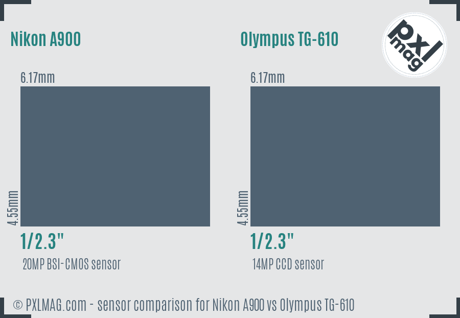 Nikon A900 vs Olympus TG-610 sensor size comparison