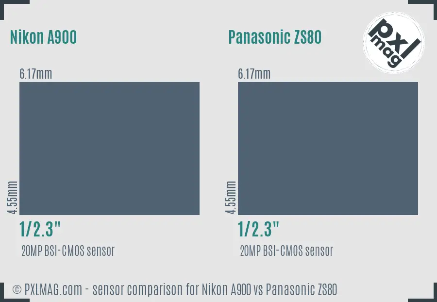 Nikon A900 vs Panasonic ZS80 sensor size comparison