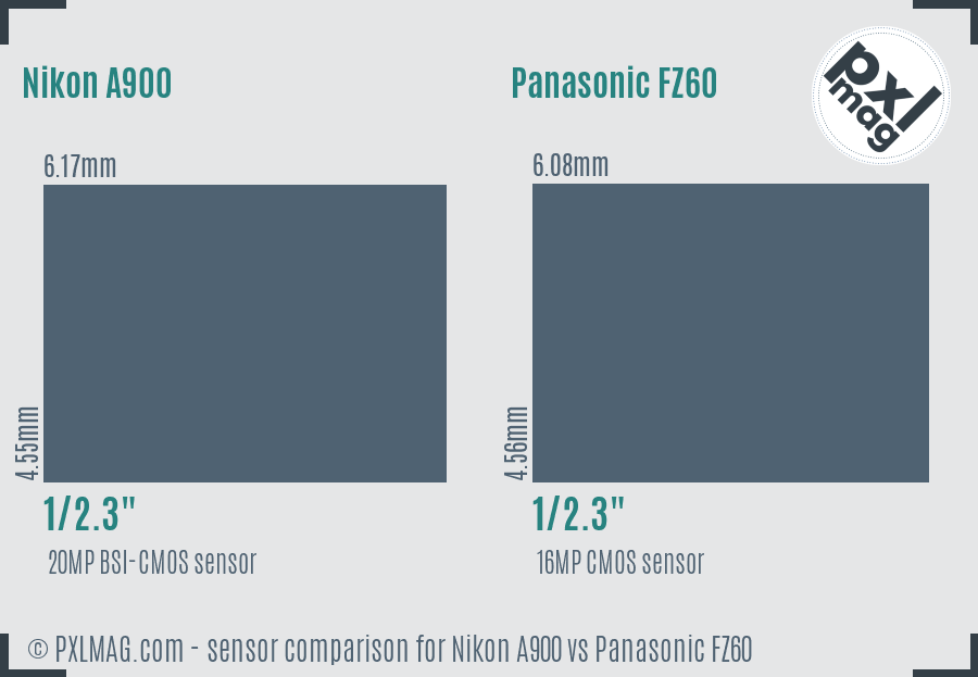 Nikon A900 vs Panasonic FZ60 sensor size comparison