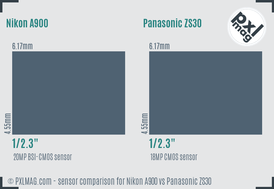 Nikon A900 vs Panasonic ZS30 sensor size comparison